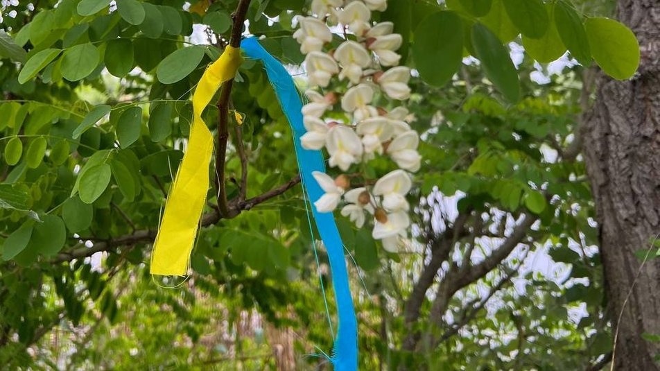 Херсонець організував пошиття патріотичних стрічок вдома.